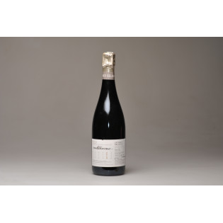 2008 - Millesimé Blanc de Blancs Grand Cru