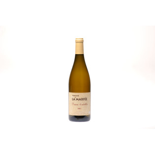 2023 - Frissons d'Ombelles