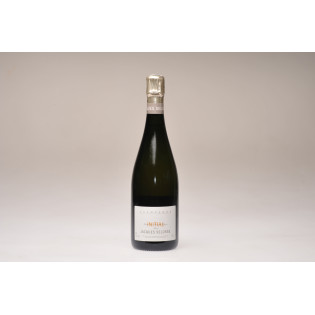 NM - Initial GC Blanc de Blancs D2007